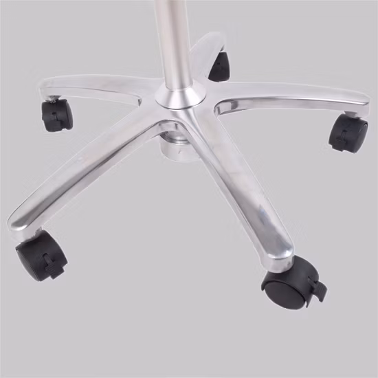 Type mobile LED col de cygne flexible lampe d'examen médical lampe chirurgicale dentaire debout au sol